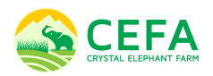 cefa logo