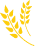 1st